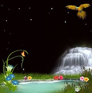 Meet your Posher, Alfredo